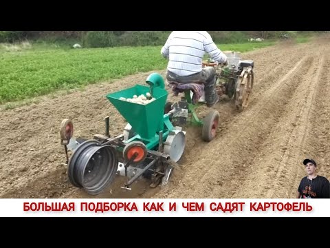 Видео: БОЛЬШАЯ ПОДБОРКА КАК И ЧЕМ САДЯТ КАРТОФЕЛЬ /HOW AND WHAT POTATOES ARE PLANTED IN DIFFERENT COUNTRIES