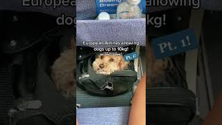 Dog Friendly European Airlines Allowing Up to 10kg!