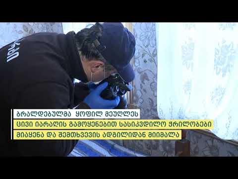 პოლიციამ სოფელ ბუღაურაში მომხდარი განზრახ მკვლელობის ფაქტი ცხელ კვალზე გახსნა