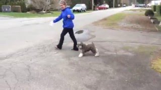 Fin Feb 28 16 IMG 3700