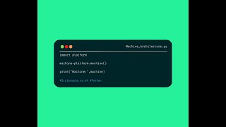 Python Platform - Check machine type