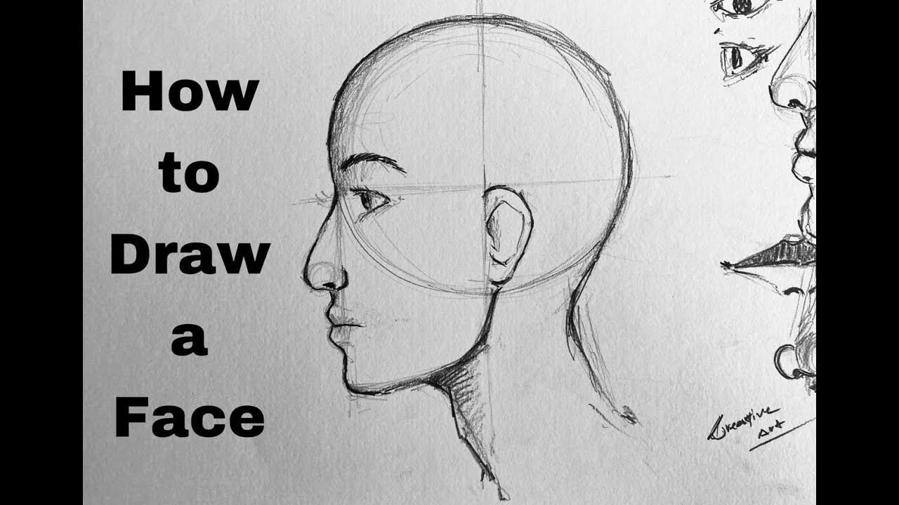 How to draw a face / step by step / draw with me!! - YouTube