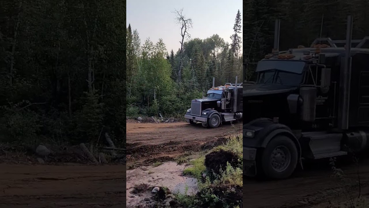 KENWORTH w900L BUSH HAUL BELLY DUMPER TRAILER!!!! EXPERT DRIVER!!!