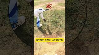 Snake Babu Interrupts Play