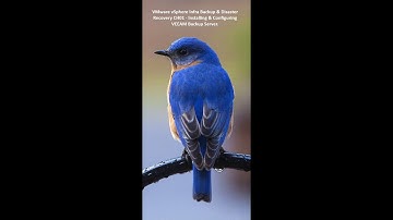 Part13 - CH01 - vSphere Backup & Disaster Recovery - Installing & Configuring VEEAM Backup Server.