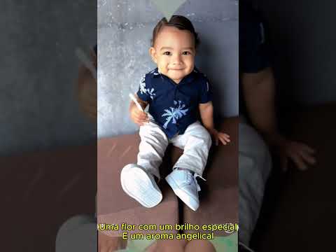 Vídeo para Apresentação Noah Benjamin - Iasd Povoado Pedrinhas