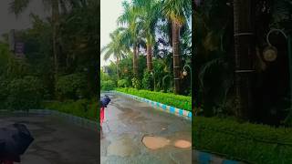 🥰 #tilawatvoiceintheworld #copyrightlaw ☔
