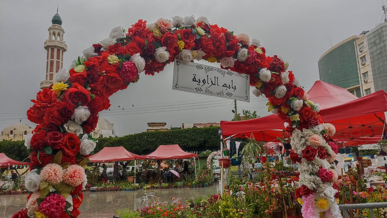 بث مباشر لجولة في معرض النباتات لمدينة البليدة مع سقوط الأمطار