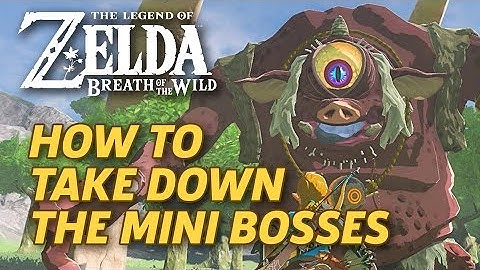 How to Defeat Breath of the Wild