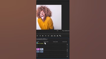 How to CENSOR or BLEEP Swear words In Premiere pro #premierepro