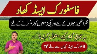 How To Use Phosphoric Acid In Agricultural Crops  Phosphoric Acid As Fertilizer  Abid Ali Agrarian