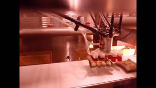 Osprey® Case Packing | JLS Automation