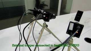 Synchronized image capture using 3 See3CAM_10CUG Global Shutter Cameras