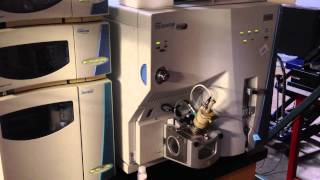 Thermo Finnigan TSQ Quantum Ultra Quadrupole Mass Spectrometer LCMSMS System MSD