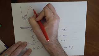 Benzene Halogenation