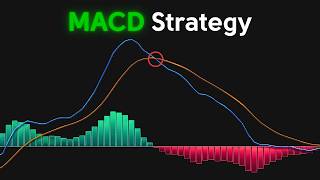Celebrity Stop using MACD wrong — This is the real way to trade momentum Profile