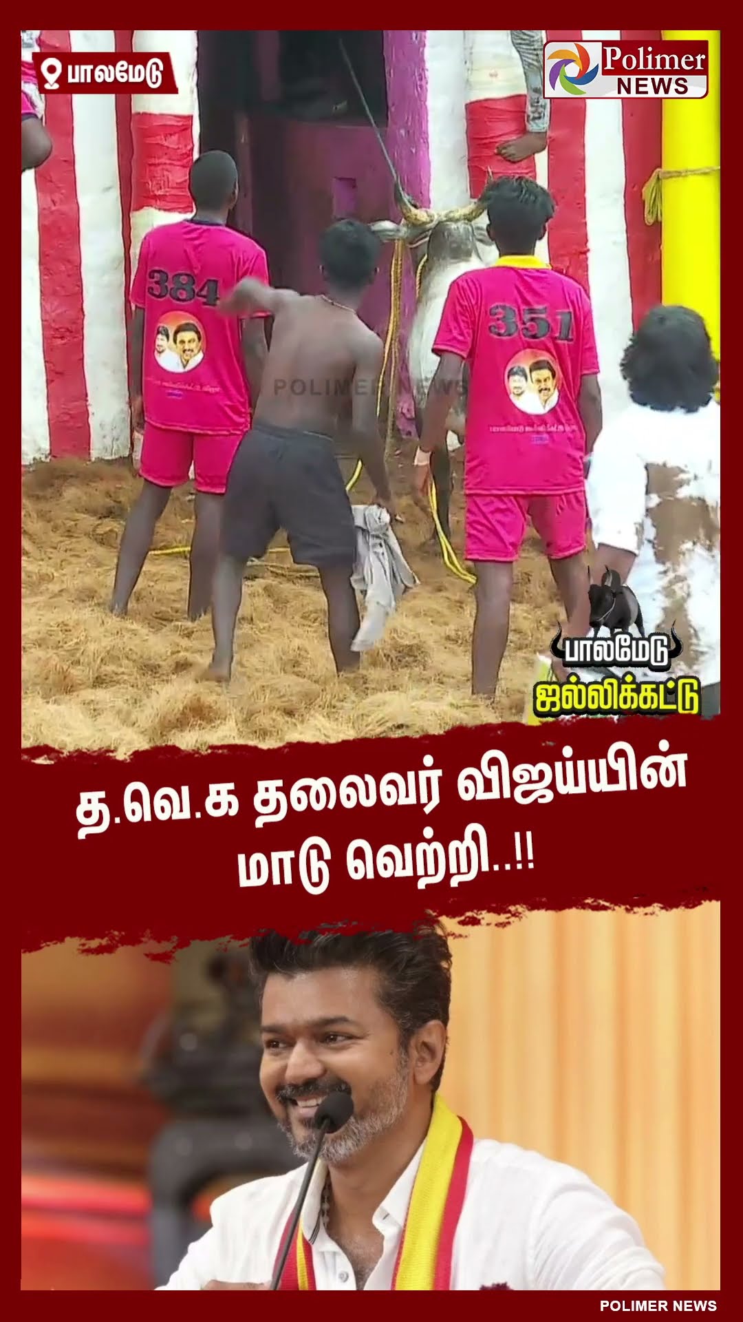 த.வெ.க தலைவர் விஜய்யின் மாடு வெற்றி..!! #shorts | #palamedujallikattu | #tvk | #vijay