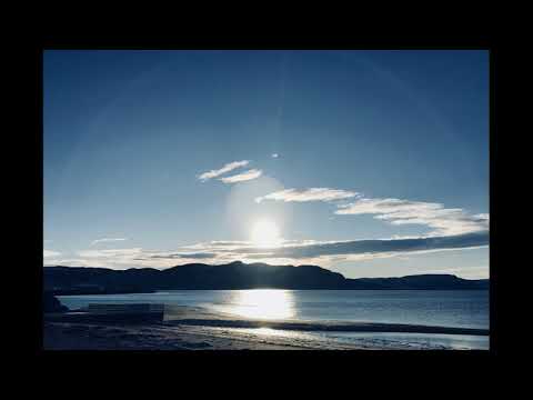 ნიკოლოზ წვიმა - \"თინასი\"