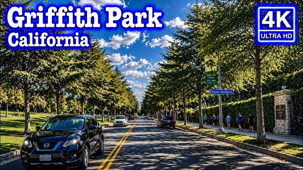 Griffith Park Los Angeles | 4k