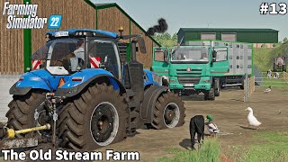 Farm Extension, New Shed & CowPen, Sowing Barley & Mowing Grass│The Old Stream│FS 22│Timelapse#13