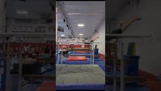video000000