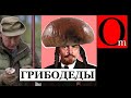 Путин-гриб. Соловьев-Киселев-Скабеева работают по советским лекалам