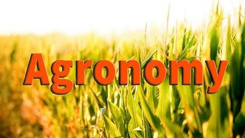 Fundamentals of Agronomy ( Agronomy and its Scope)# Agronomy # Fundamentals of Agronomy