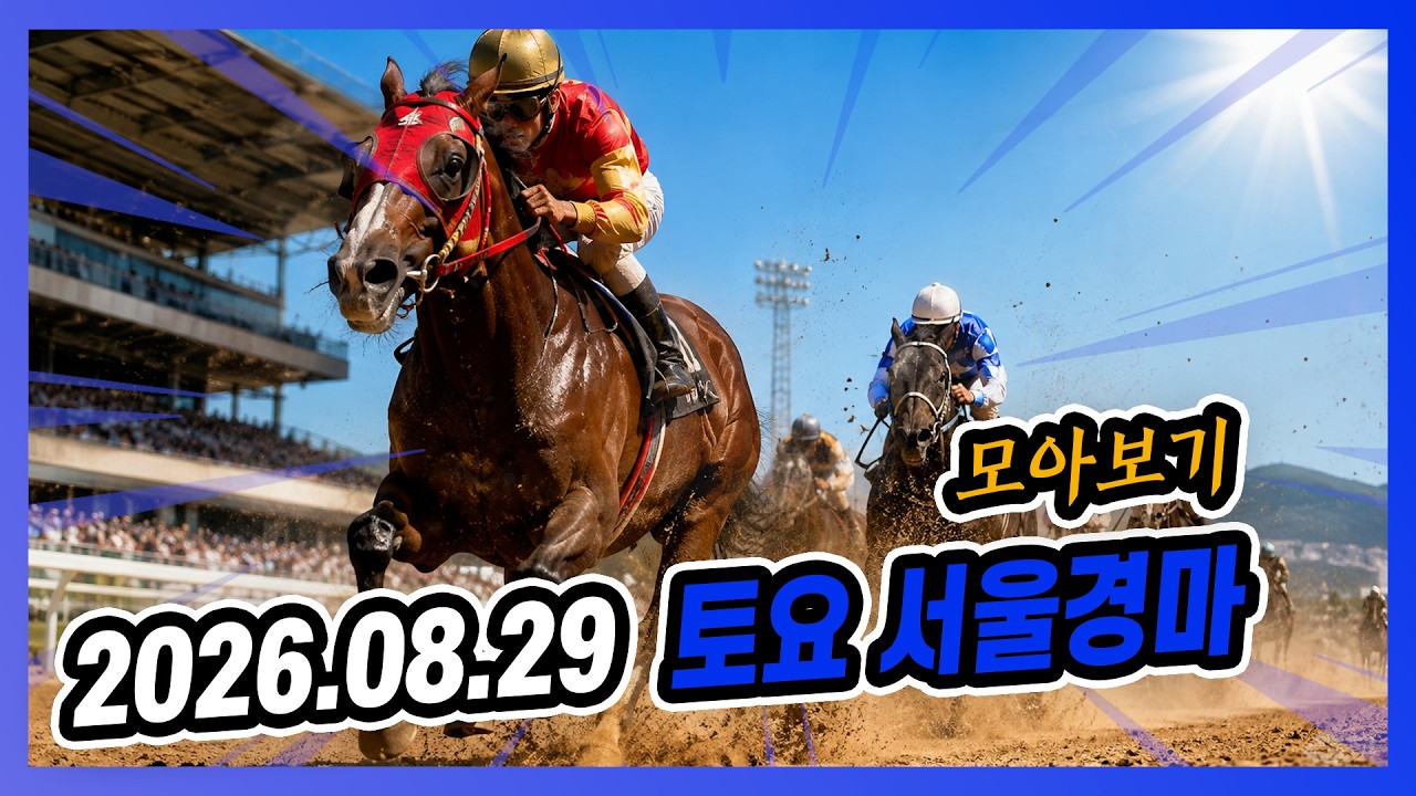 2026년 8월 29일 토요 서울경마 전체경주 모아보기