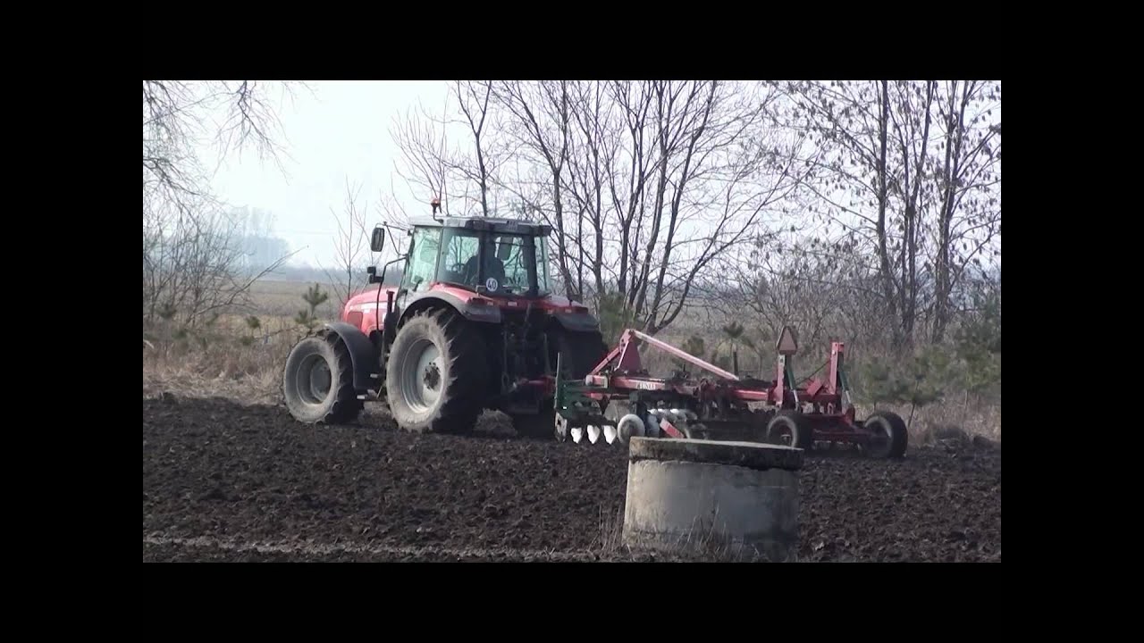 Zmarznięte talerze 2012, czyli Massey Ferguson 8220 & Unia Group Cut w akcji