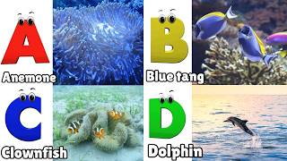 ABC Song | Sea Animals ABC Song | Phonics for Kids, Learn ABC, Baby Alphabet Letters