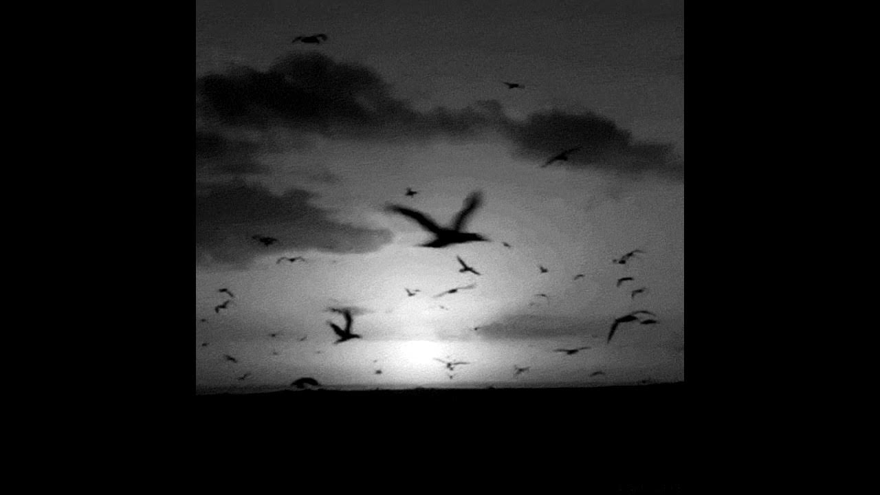 химера вороны текст. соло арии табы. мария золотухина арты. Maria zolotukhina art. фамильяр грифон змея.