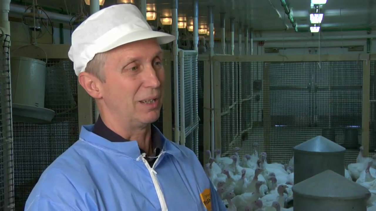 Hulet discusses organic turkey market