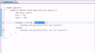 Part 11: Java Programming Tutorial - Logical Operators Net Worth