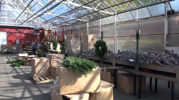 Making Sample Wreaths - Mickman Brothers Holiday F...