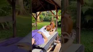 #timelapse : Construccion Completa ensolitario de una cabana de madera como construir una cabana