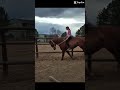 Holy bad seat #horse #equestrian #fupシ #fyp #fypシ゚viral