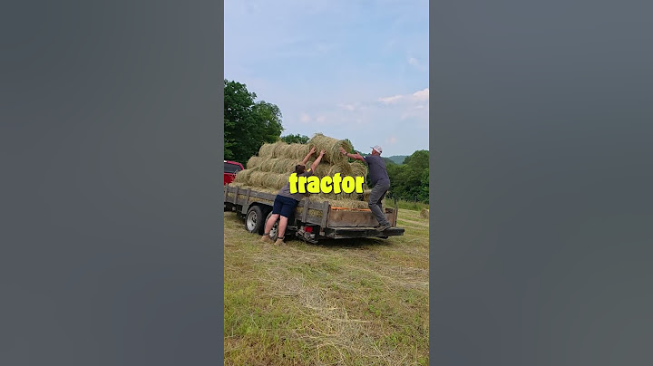 Round Bale vs Square Bale Hay