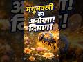 मधुमक्खी का दिमाग!#BeeMath #Shorts #ScienceShorts #BeeFacts #AnimalFacts  #ViralShorts #EduShorts