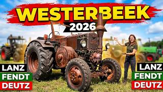 Traktortreffen Westerbeekse Oogstdag mit Lanz Bulldog Nachbau von Landini und weiteren Traktoren
