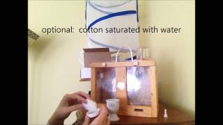 The Beezza Hut - A Bee Home For Apitherapy Bvt Bee Venom