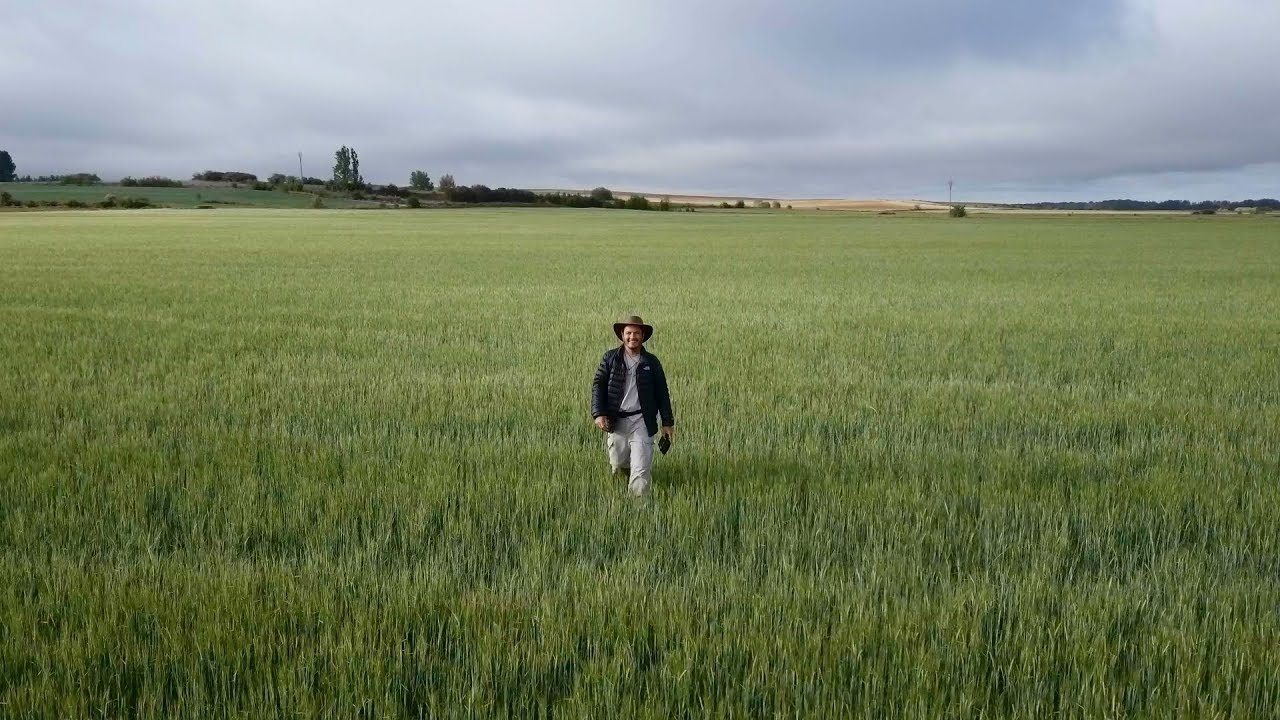 Camino Frances Update 19 | Terradillos to Reliegos 43 km