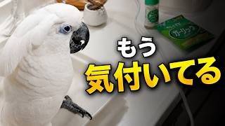 沼料理の気配だけで警戒するゆきまる氏