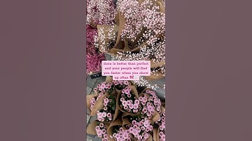 Consistency pays off in the TikTok game! 🎥 #sidehustle #makemoneyfromyourphone #noise #holler