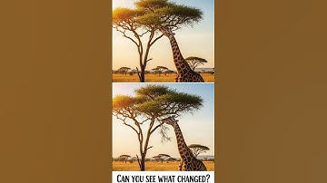 Can You Find 3 Differences, Puzzle Challenge for Smart Minds!