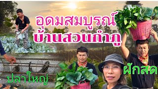 So abundant! Big fish, fresh vegetables. #BaanSuanKamphuEp1594