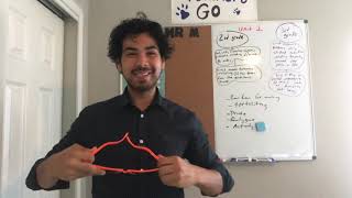 Asynchronous Lesson 1 - Meet and Greet