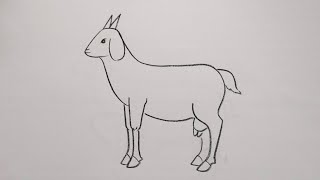 how to draw goat drawing easy step by step@DrawingTalent