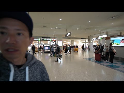 沖縄ダイビング・移動編・那覇でおすすめのホテルも紹介・沖縄旅行