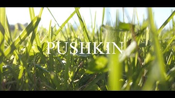 PUSHKIN 2021 Short Video