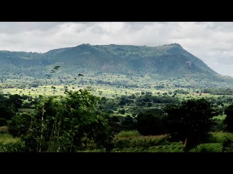 Drive out of Malawi To The Zambian Border